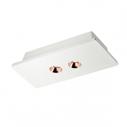Потолочный светодиодный светильник Loft IT Architect OL1072-WG/2