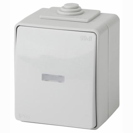 Выключатель одноклавишный с подсветкой ЭРА Эксперт 10AX 250V IP65 11-1602-03