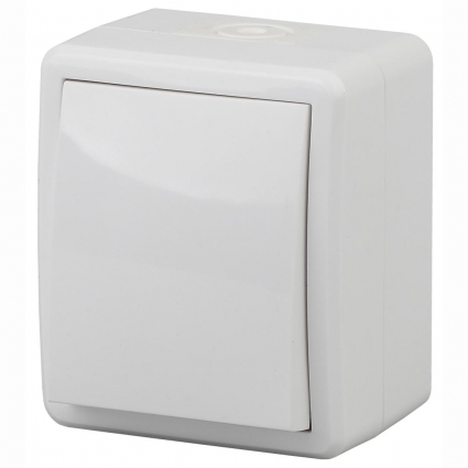 Выключатель одноклавишный ЭРА Эксперт 10AX 250V IP54 11-1401-01