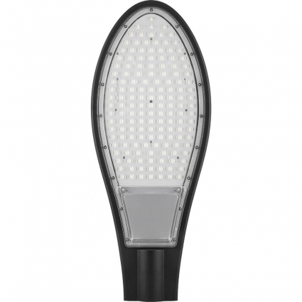 Уличный светодиодный консольный светильник Feron SP2927 32219
