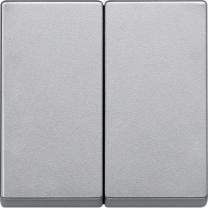 Клавиша двойная Schneider Electric Merten System M MTN433560
